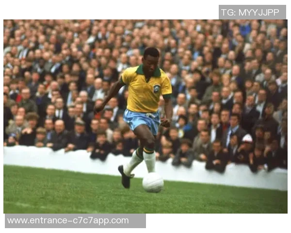 加克波：从新星崛起到足球巨星之路的精彩旅程与未来展望