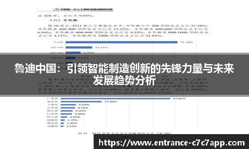 鲁迪中国：引领智能制造创新的先锋力量与未来发展趋势分析