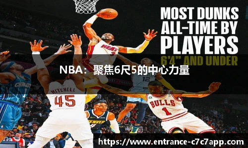 NBA：聚焦6尺5的中心力量