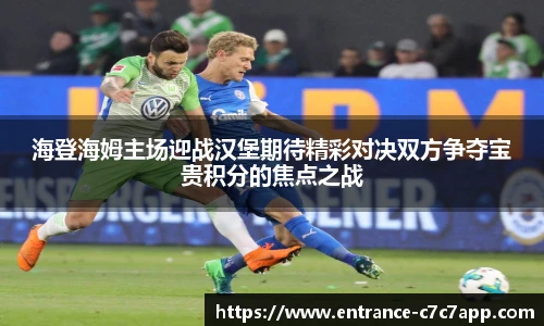海登海姆主场迎战汉堡期待精彩对决双方争夺宝贵积分的焦点之战