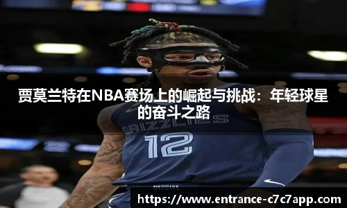 c7c7.app登录入口